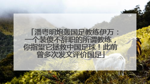 潘粤明炮轰国足教练伊万：一个装傻不辞职的所谓教练，你指望它拯救中国足球！此前曾多次发文评价国足