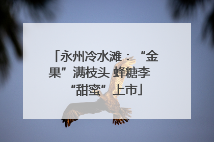 永州冷水滩：“金果”满枝头 蜂糖李“甜蜜”上市