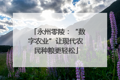 永州零陵：“数字农业”让现代农民种粮更轻松