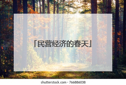 民营经济的春天