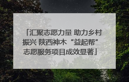 汇聚志愿力量 助力乡村振兴 陕西神木“益起帮”志愿服务项目成效显著