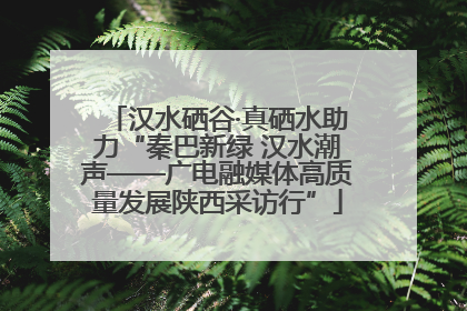汉水硒谷·真硒水助力“秦巴新绿 汉水潮声——广电融媒体高质量发展陕西采访行”