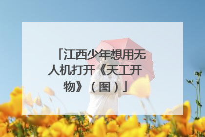 江西少年想用无人机打开《天工开物》（图）
