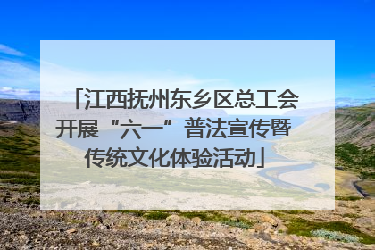 江西抚州东乡区总工会开展“六一”普法宣传暨传统文化体验活动