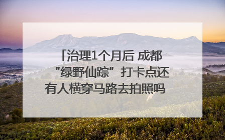 治理1个月后 成都“绿野仙踪”打卡点还有人横穿马路去拍照吗？｜民情瞭望