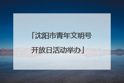 沈阳市青年文明号开放日活动举办