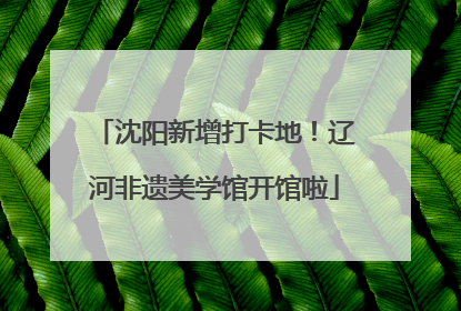 沈阳新增打卡地！辽河非遗美学馆开馆啦