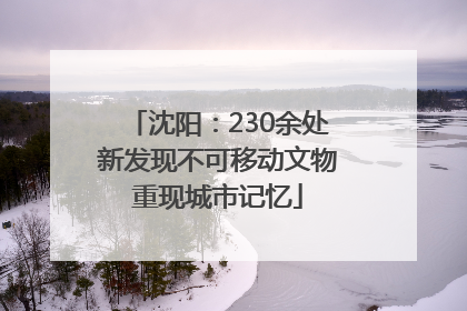 沈阳：230余处新发现不可移动文物重现城市记忆