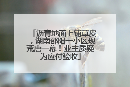 沥青地面上铺草皮，湖南邵阳一小区现荒唐一幕！业主质疑为应付验收