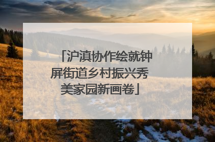 沪滇协作绘就钟屏街道乡村振兴秀美家园新画卷