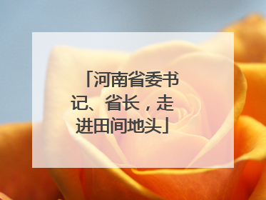 河南省委书记、省长，走进田间地头