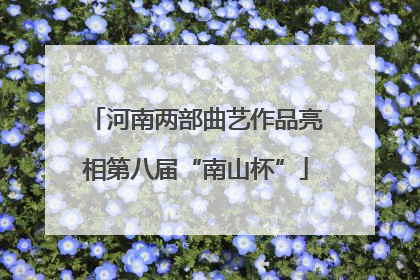 河南两部曲艺作品亮相第八届“南山杯”