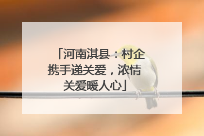 河南淇县：村企携手递关爱，浓情关爱暖人心