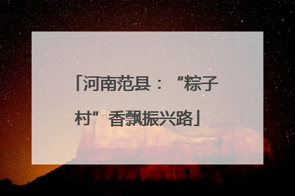 河南范县：“粽子村”香飘振兴路