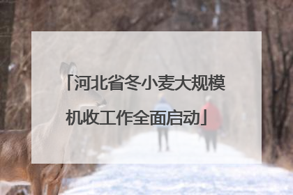 河北省冬小麦大规模机收工作全面启动