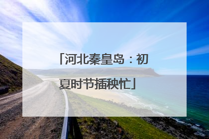 河北秦皇岛：初夏时节插秧忙