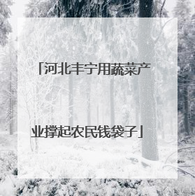 河北丰宁用蔬菜产业撑起农民钱袋子