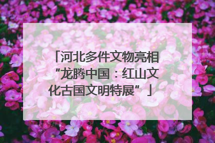 河北多件文物亮相“龙腾中国：红山文化古国文明特展”
