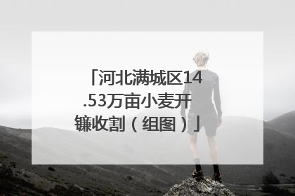 河北满城区14.53万亩小麦开镰收割（组图）