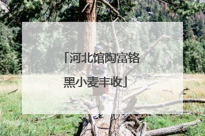 河北馆陶富铬黑小麦丰收