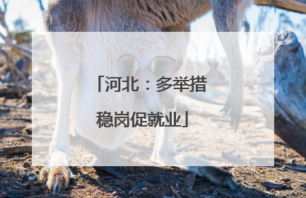 河北：多举措稳岗促就业