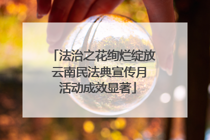 法治之花绚烂绽放 云南民法典宣传月活动成效显著