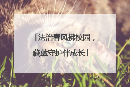 法治春风拂校园，藏蓝守护伴成长