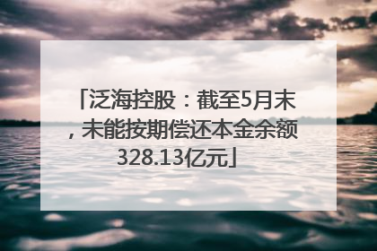 泛海控股：截至5月末，未能按期偿还本金余额328.13亿元