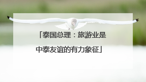 泰国总理：旅游业是中泰友谊的有力象征