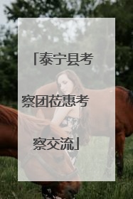 泰宁县考察团莅惠考察交流