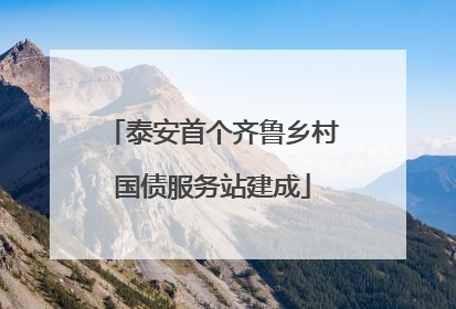 泰安首个齐鲁乡村国债服务站建成