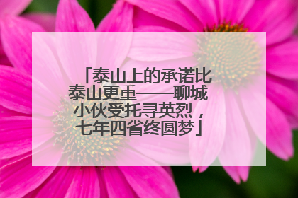 泰山上的承诺比泰山更重——聊城小伙受托寻英烈，七年四省终圆梦