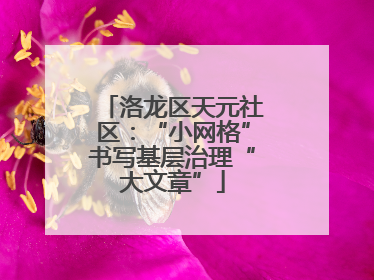 洛龙区天元社区：“小网格”书写基层治理“大文章”