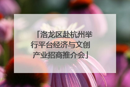 洛龙区赴杭州举行平台经济与文创产业招商推介会
