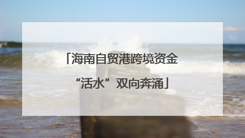 海南自贸港跨境资金“活水”双向奔涌