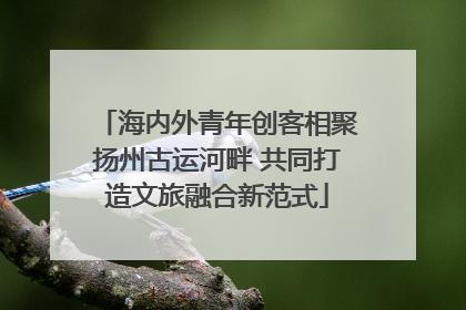 海内外青年创客相聚扬州古运河畔 共同打造文旅融合新范式