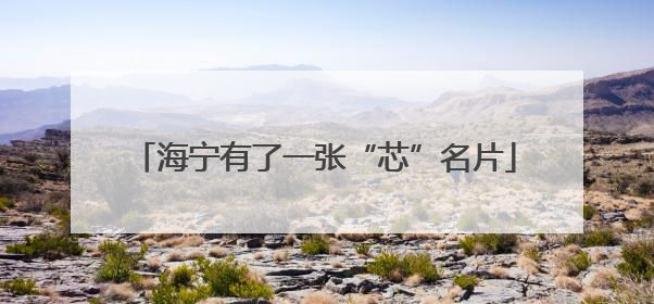 海宁有了一张“芯”名片
