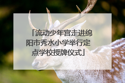 流动少年宫走进绵阳市秀水小学举行定点学校授牌仪式