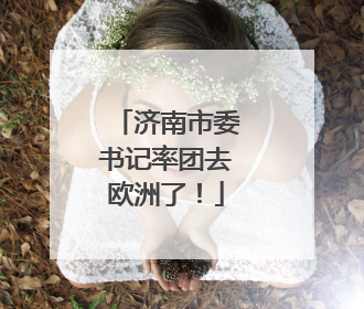 济南市委书记率团去欧洲了！