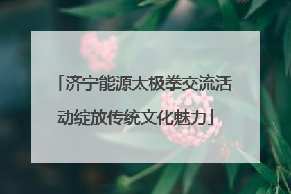 济宁能源太极拳交流活动绽放传统文化魅力