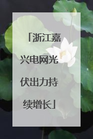 浙江嘉兴电网光伏出力持续增长