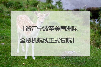 浙江宁波至美国洲际全货机航线正式复航