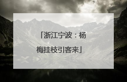 浙江宁波：杨梅挂枝引客来