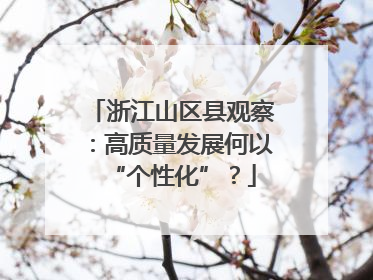 浙江山区县观察：高质量发展何以“个性化”？