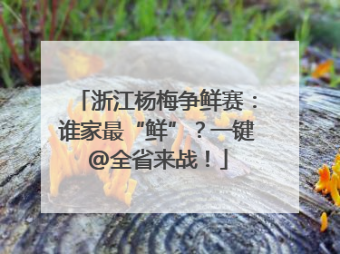浙江杨梅争鲜赛：谁家最“鲜”？一键@全省来战！