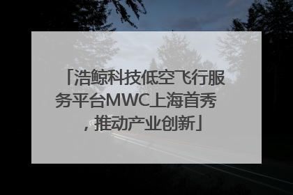 浩鲸科技低空飞行服务平台MWC上海首秀，推动产业创新