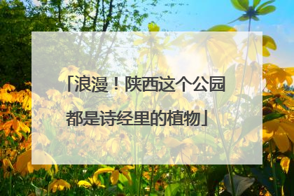 浪漫！陕西这个公园都是诗经里的植物