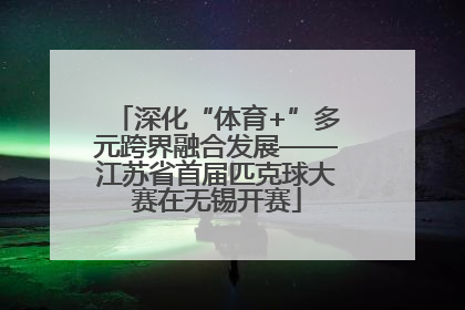 深化“体育+”多元跨界融合发展——江苏省首届匹克球大赛在无锡开赛