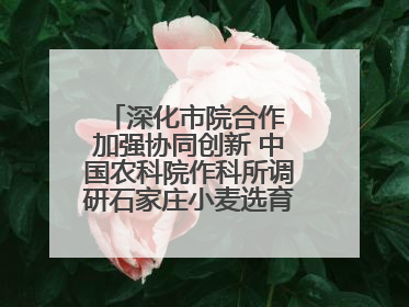 深化市院合作 加强协同创新 中国农科院作科所调研石家庄小麦选育种等工作