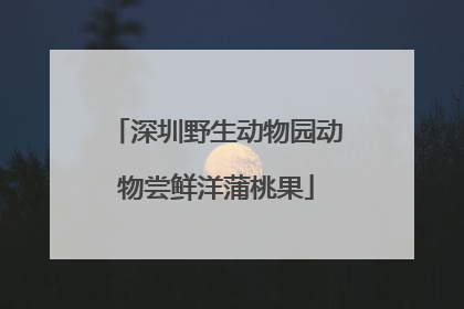深圳野生动物园动物尝鲜洋蒲桃果